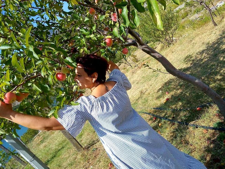 Koman Agroturizem Hotel Vila Franceze מראה חיצוני תמונה