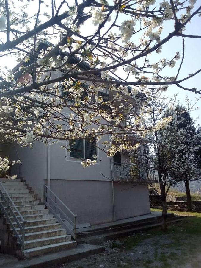 Koman Agroturizem Hotel Vila Franceze מראה חיצוני תמונה