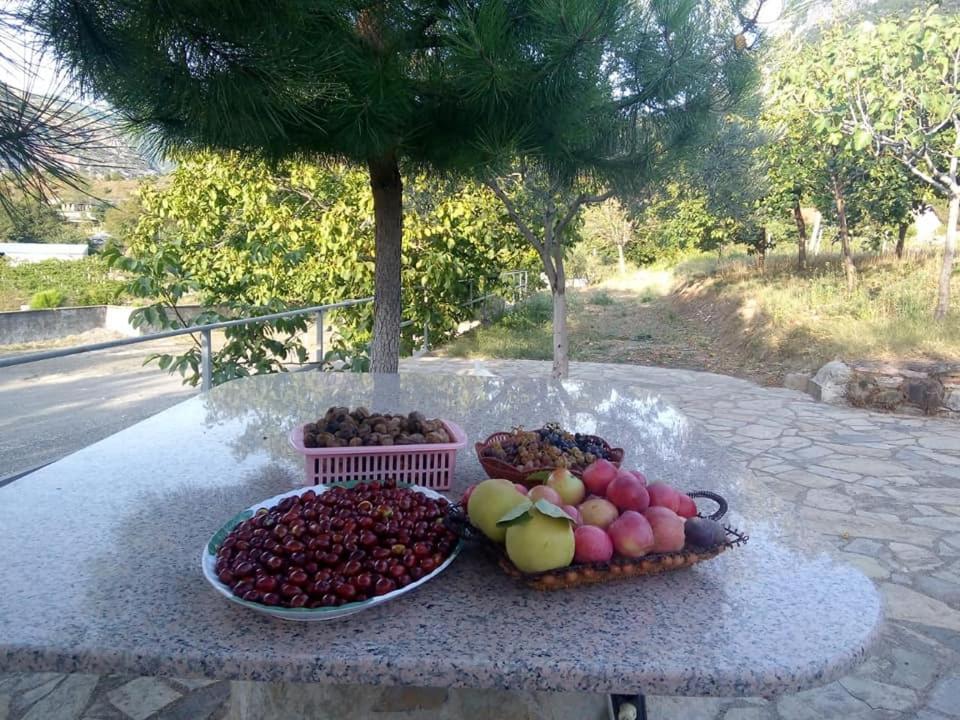 Koman Agroturizem Hotel Vila Franceze מראה חיצוני תמונה